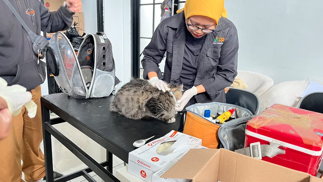Bangsawan Tingkatkan Kewaspadaan Penyakit Zoonosis