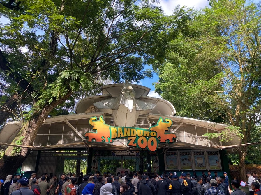 Besok Senin (13/4), Market Sounding Bandung Zoo Dibuka